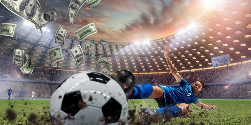 Cơ hội sinh lời cực khủng cho member