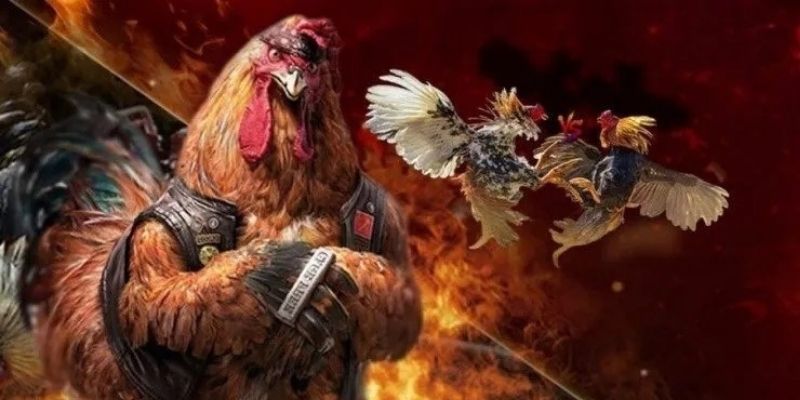 Hiểu chuẩn kê chiến đòn độc cho hội viên nhà cái FB88