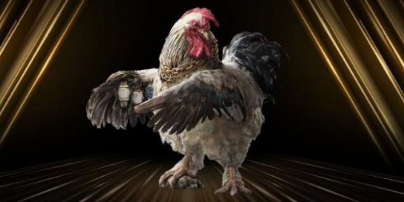 Nắm bắt khái niệm gà đá đòn độc nhanh và chuẩn