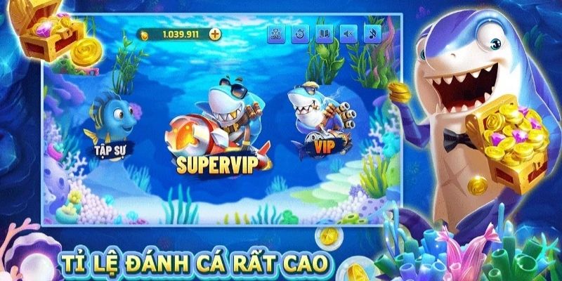 Tips triển khai săn ngư nhằm tối ưu hiệu quả chơi